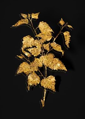 Gold Floral on Black
