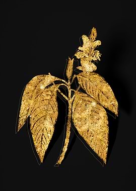 Gold Botanical on Black