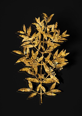 Gold Botanical on Black