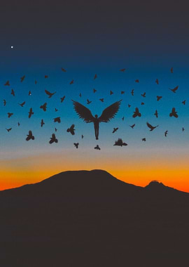 silhouette winged man