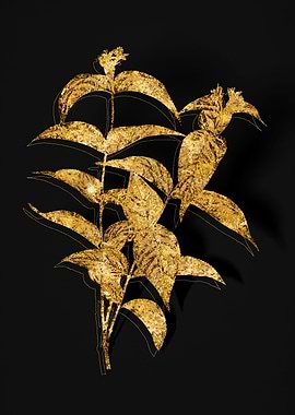 Gold Botanical on Black