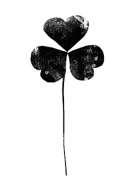 Three leaf clover