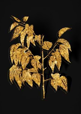 Gold Botanical on Black
