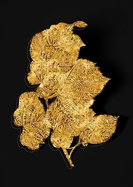 Gold Botanical on Black