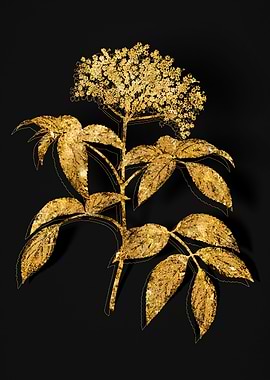Gold Flora on Black