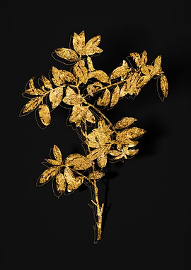 Gold Flora on Black