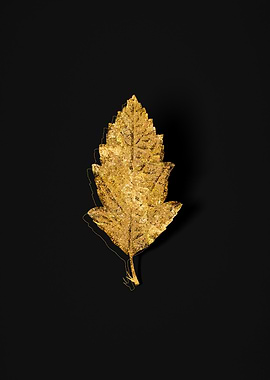 Gold Botanical on Black