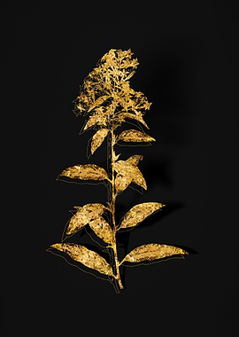 Gold Flora on Black