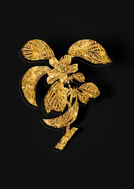 Gold Botanical on Black