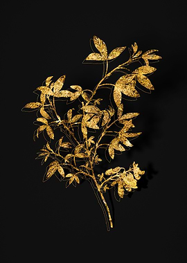 Gold Floral on Black