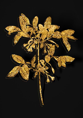 Gold Flora on Black