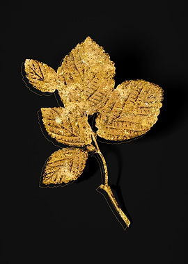 Gold Botanical on Black