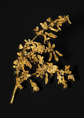 Gold Botanical on Black