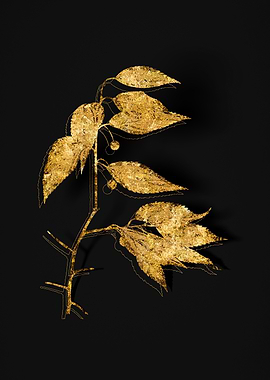 Gold Flora on Black