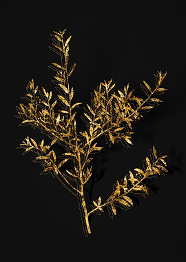 Gold Botanical on Black