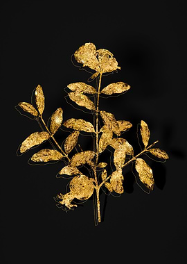 Gold Botanical on Black