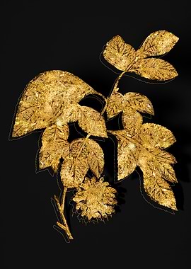 Gold Botanical on Black