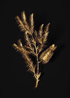 Gold Floral on Black