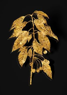Gold Botanical on Black