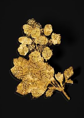 Gold Botanical on Black