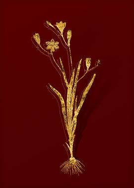Gold Botanical on Red