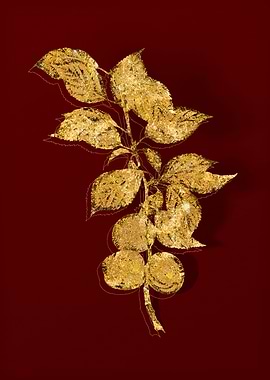 Gold Botanical on Red
