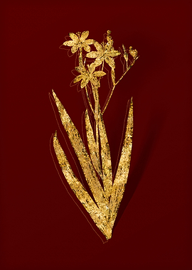 Gold Flora on Red