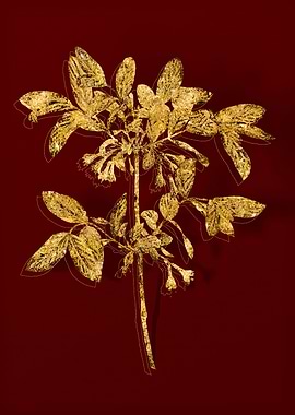 Gold Botanical on Red
