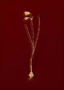 Gold Flora on Red