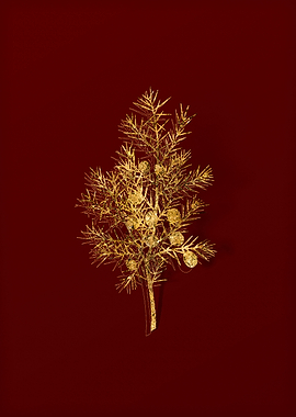 Gold Botanical on Red