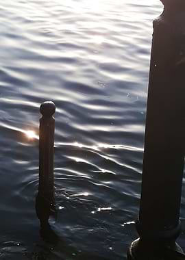 Riverside sunset detail