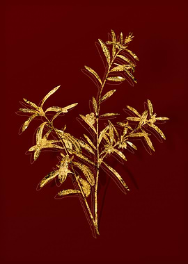 Gold Botanical on Red