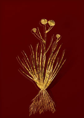 Gold Flower on Red