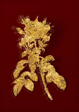 Gold Botanical on Red