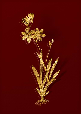 Gold Botanical on Red