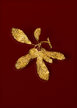Gold Botanical on Red