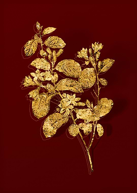 Gold Botanical on Red