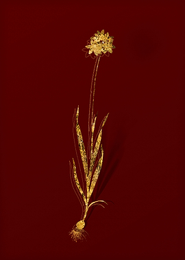 Gold Flora on Red