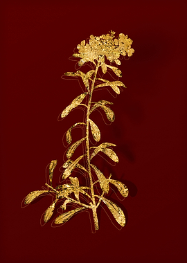 Gold Flora on Red