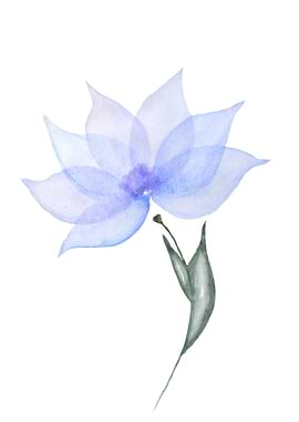Watercolor flower