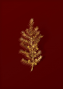 Gold Botanical on Red