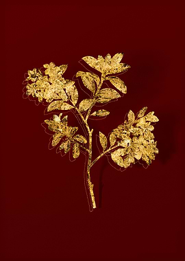 Gold Flora on Red