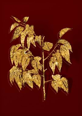 Gold Botanical on Red