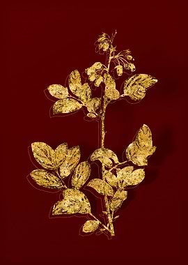 Gold Botanical on Red