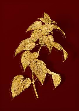 Gold Botanical on Red