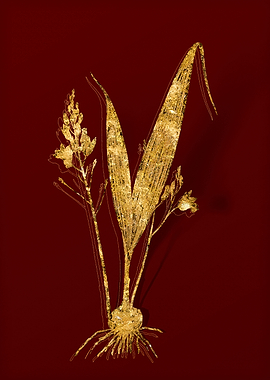 Gold Flora on Red
