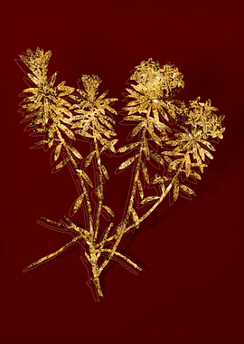 Gold Botanical on Red