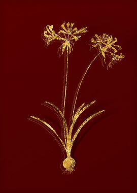 Gold Flora on Red