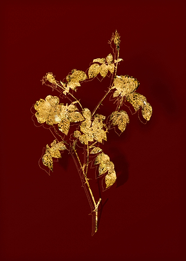 Gold Flora on Red