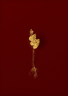 Gold Botanical on Red